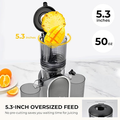 Cold Press Juicer